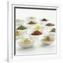 Spices, Spice Mixtures and Marinades in Small Bowls-Jana Liebenstein-Framed Photographic Print