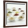 Spices, Spice Mixtures and Marinades in Small Bowls-Jana Liebenstein-Framed Photographic Print