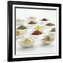 Spices, Spice Mixtures and Marinades in Small Bowls-Jana Liebenstein-Framed Photographic Print