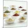 Spices, Spice Mixtures and Marinades in Small Bowls-Jana Liebenstein-Mounted Photographic Print