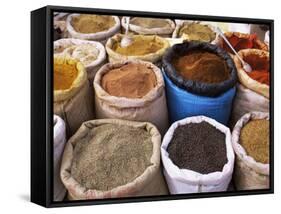 Spices, Tinerhir Souk, Ouarzazate Region, Morocco, North Africa, Africa-Bruno Morandi-Framed Stretched Canvas