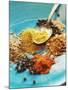 Spices: Turmeric, Paprika, Allspice, Coriander, Chili-null-Mounted Photographic Print