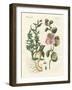 Spices-null-Framed Giclee Print