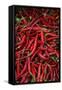 Spicy Hot Red Cayenne Chili Peppers-William Perry-Framed Stretched Canvas