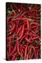 Spicy Hot Red Cayenne Chili Peppers-William Perry-Stretched Canvas