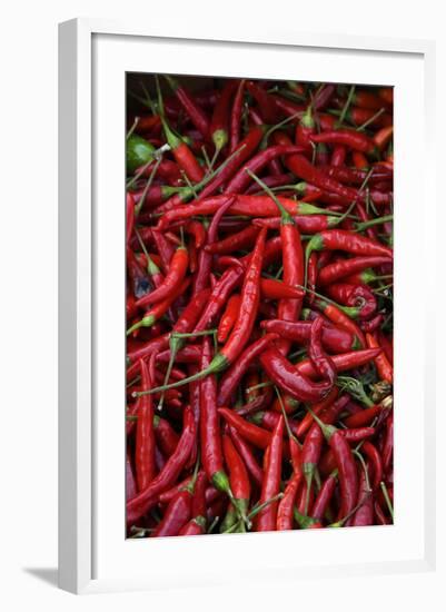 Spicy Hot Red Cayenne Chili Peppers-William Perry-Framed Photographic Print