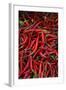 Spicy Hot Red Cayenne Chili Peppers-William Perry-Framed Photographic Print