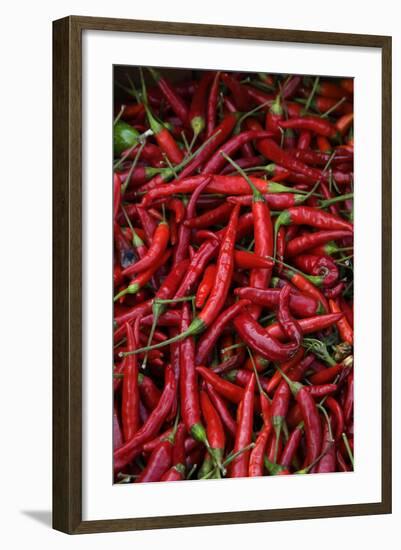 Spicy Hot Red Cayenne Chili Peppers-William Perry-Framed Photographic Print