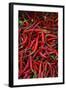 Spicy Hot Red Cayenne Chili Peppers-William Perry-Framed Photographic Print