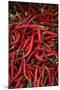 Spicy Hot Red Cayenne Chili Peppers-William Perry-Mounted Photographic Print