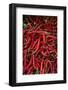 Spicy Hot Red Cayenne Chili Peppers-William Perry-Framed Photographic Print