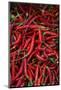 Spicy Hot Red Cayenne Chili Peppers-William Perry-Mounted Photographic Print