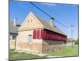 Spicy Red Chili in the Town of Kalocsa, Hungary-Martin Zwick-Mounted Premium Photographic Print