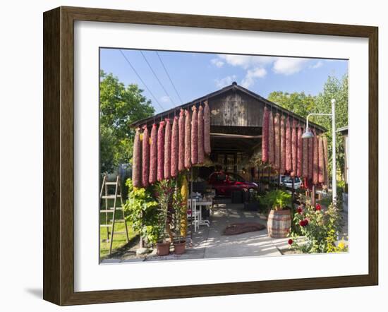 Spicy Red Chili in the Town of Kalocsa, Hungary-Martin Zwick-Framed Premium Photographic Print