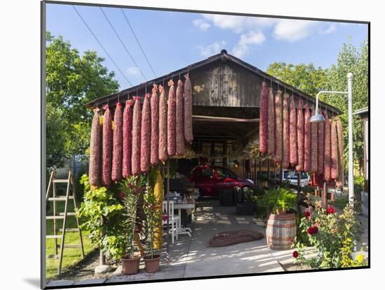 Spicy Red Chili in the Town of Kalocsa, Hungary-Martin Zwick-Mounted Premium Photographic Print