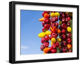 Spicy Red Chili in the Town of Kalocsa, Hungary-Martin Zwick-Framed Premium Photographic Print