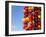 Spicy Red Chili in the Town of Kalocsa, Hungary-Martin Zwick-Framed Premium Photographic Print