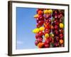 Spicy Red Chili in the Town of Kalocsa, Hungary-Martin Zwick-Framed Photographic Print