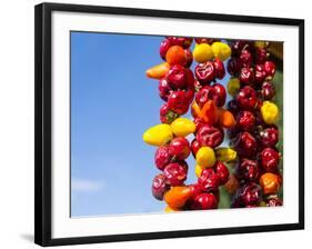 Spicy Red Chili in the Town of Kalocsa, Hungary-Martin Zwick-Framed Photographic Print