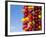 Spicy Red Chili in the Town of Kalocsa, Hungary-Martin Zwick-Framed Photographic Print