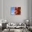 Spicy Red Chili in the Town of Kalocsa, Hungary-Martin Zwick-Photographic Print displayed on a wall