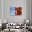 Spicy Red Chili in the Town of Kalocsa, Hungary-Martin Zwick-Photographic Print displayed on a wall