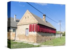 Spicy Red Chili in the Town of Kalocsa, Hungary-Martin Zwick-Stretched Canvas