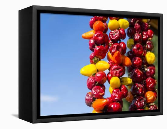 Spicy Red Chili in the Town of Kalocsa, Hungary-Martin Zwick-Framed Stretched Canvas