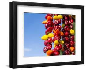 Spicy Red Chili in the Town of Kalocsa, Hungary-Martin Zwick-Framed Photographic Print