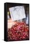 Spicy Red Chillies, Kandy, Central Province in the Sri Lanka Highlands, Sri Lanka, Asia-Matthew Williams-Ellis-Framed Stretched Canvas