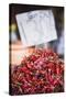 Spicy Red Chillies, Kandy, Central Province in the Sri Lanka Highlands, Sri Lanka, Asia-Matthew Williams-Ellis-Stretched Canvas