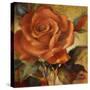 Spicy Rose I-Lanie Loreth-Stretched Canvas