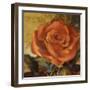 Spicy Rose II-Lanie Loreth-Framed Art Print