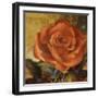 Spicy Rose II-Lanie Loreth-Framed Art Print