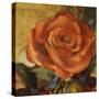 Spicy Rose II-Lanie Loreth-Stretched Canvas