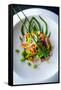 Spicy Thai Salad, Thailand, Southeast Asia, Asia-Alex Robinson-Framed Stretched Canvas