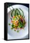 Spicy Thai Salad, Thailand, Southeast Asia, Asia-Alex Robinson-Framed Stretched Canvas