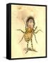 Spider 1873 'Missing Links' Parade Costume Design-Charles Briton-Framed Stretched Canvas