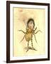 Spider 1873 'Missing Links' Parade Costume Design-Charles Briton-Framed Giclee Print