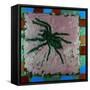 Spider, 1996-Peter Wilson-Framed Stretched Canvas