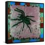 Spider, 1996-Peter Wilson-Framed Stretched Canvas