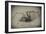 Spider 2-Pixie Pics-Framed Premium Photographic Print