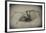 Spider 2-Pixie Pics-Framed Photographic Print