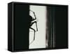 Spider 3-Pixie Pics-Framed Stretched Canvas