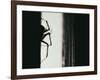 Spider 3-Pixie Pics-Framed Photographic Print