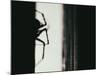 Spider 3-Pixie Pics-Mounted Photographic Print