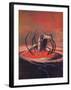 Spider and Man-Frank Frazetta-Framed Art Print