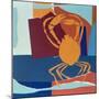 Spider Crab-John Wallington-Mounted Giclee Print