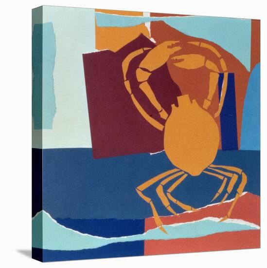 Spider Crab-John Wallington-Stretched Canvas