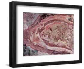 Spider Crater, Western Australia-Stocktrek Images-Framed Photographic Print